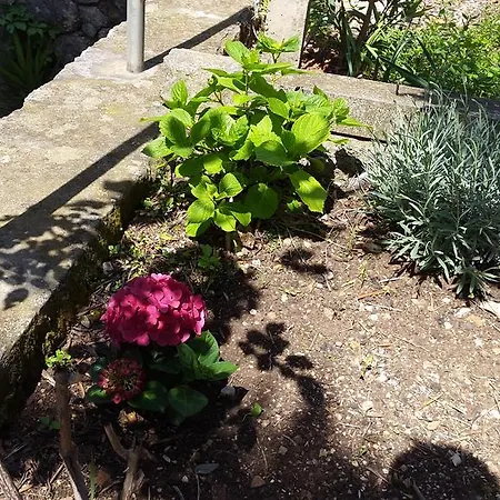 Karmen Appartement *